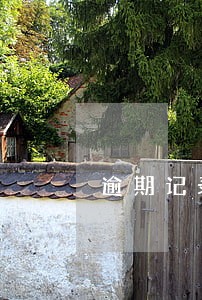 逾期记录怎么买车 逾期记录怎么买车