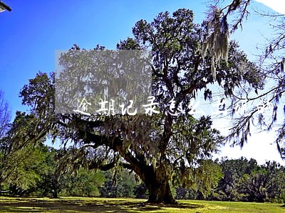 逾期记录怎么出现的 逾期记录怎么出现的