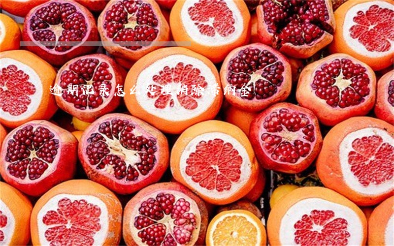 逾期记录怎么处理消除滞纳金 逾期记录怎么处理消除滞纳金