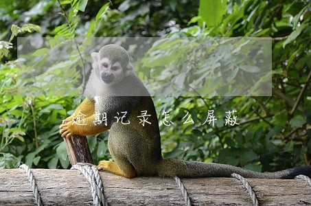 逾期记录怎么屏蔽 逾期记录怎么屏蔽