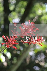逾期记录怎么查到那一年 逾期记录怎么查到那一年