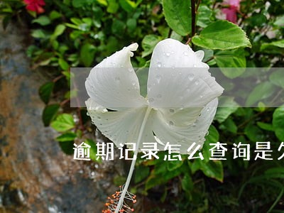逾期记录怎么查询是欠哪家钱 逾期记录怎么查询是欠哪家钱