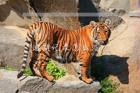 逾期记录怎么洗