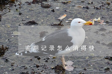 逾期记录怎么消得快 逾期记录怎么消得快