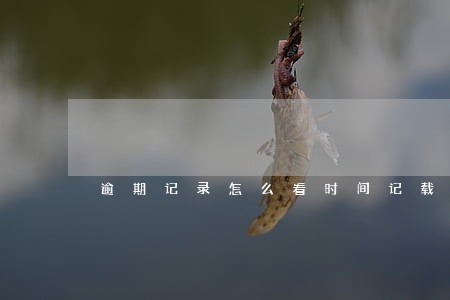 逾期记录怎么看时间记载