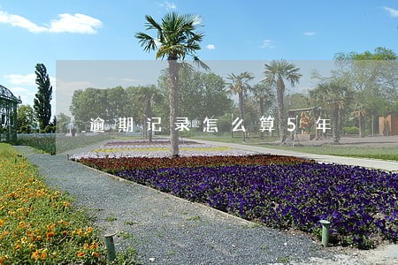 逾期记录怎么算5年 逾期记录怎么算5年
