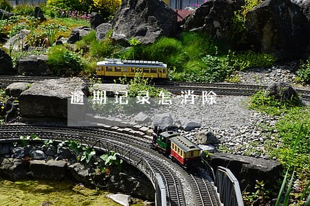 逾期记录怎消除 逾期记录怎消除