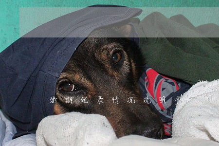逾期记录情况说明书 逾期记录情况说明书