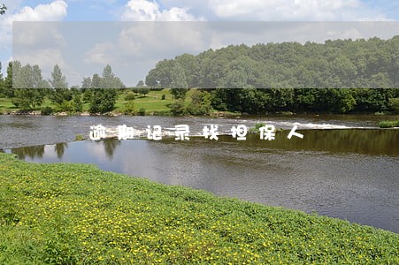 逾期记录找担保人