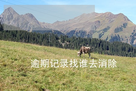 逾期记录找谁去消除 逾期记录找谁去消除
