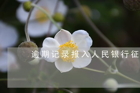 逾期记录报入人民银行征信系统 逾期记录报入人民银行征信系统