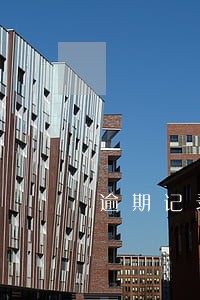 逾期记录报送