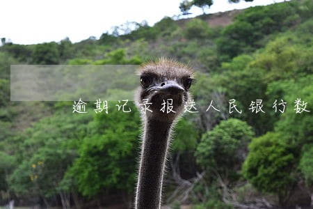 逾期记录报送人民银行数据信息库 逾期记录报送人民银行数据信息库