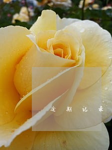 逾期记录报送金融信用 逾期记录报送金融信用
