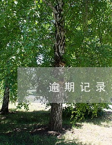 逾期记录指的是什么 逾期记录指的是什么