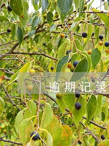逾期记录提取住房公积金