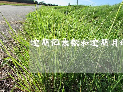 逾期记录数和逾期月份数