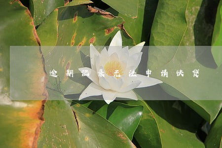 逾期记录无法申请快贷 逾期记录无法申请快贷