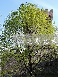 逾期记录日期