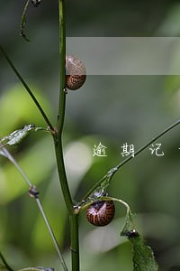 逾期记录是不是还清就没了 逾期记录是不是还清就没了