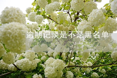 逾期记录是不是黑名单