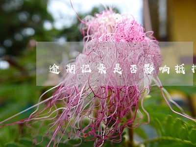 逾期记录是否影响抵押贷款 逾期记录是否影响抵押贷款