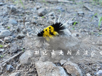 逾期记录是按月消除吗