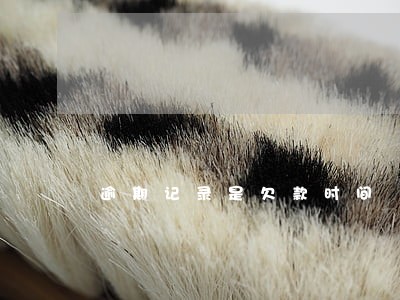 逾期记录是欠款时间 逾期记录是欠款时间