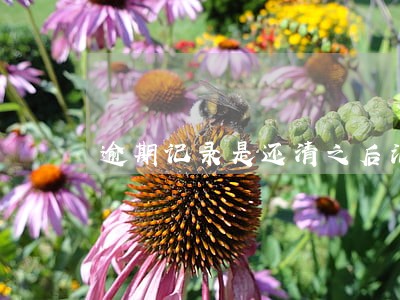 逾期记录是还清之后消除 逾期记录是还清之后消除