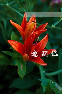 逾期记录显示7年还是5年 逾期记录显示7年还是5年
