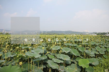 逾期记录显示一个3 逾期记录显示一个3