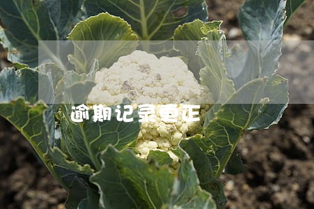 逾期记录更正 逾期记录更正