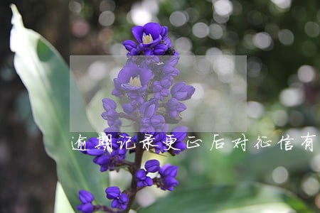 逾期记录更正后对征信有影响吗 逾期记录更正后对征信有影响吗