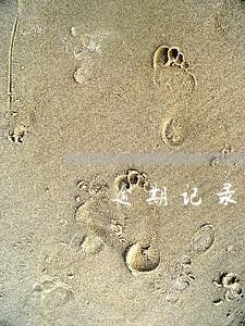 逾期记录最快怎么恢复 逾期记录最快怎么恢复