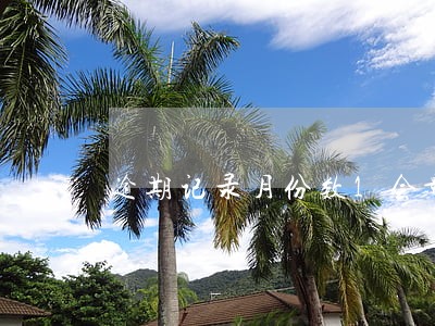 逾期记录月份数1会影响吗