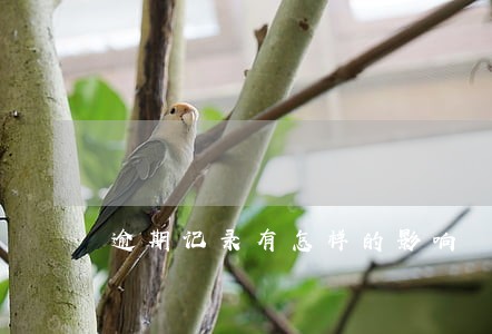 逾期记录有怎样的影响 逾期记录有怎样的影响