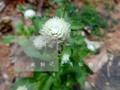 逾期记录有效期是多久 逾期记录有效期是多久