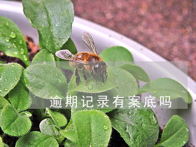 逾期记录有案底吗 逾期记录有案底吗