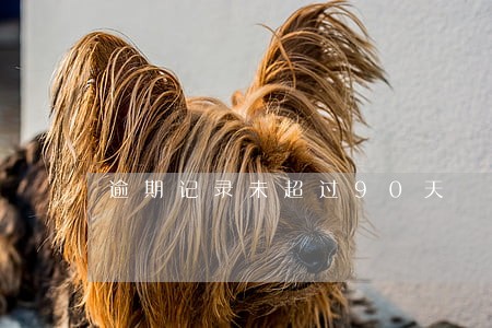 逾期记录未超过90天 逾期记录未超过90天