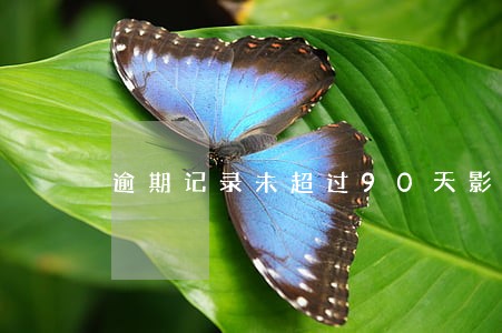 逾期记录未超过90天影响房贷吗 逾期记录未超过90天影响房贷吗