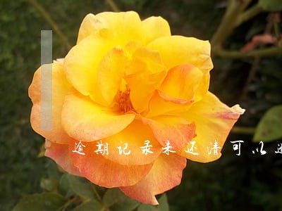 逾期记录未还清可以进事业单位吗 逾期记录未还清可以进事业单位吗