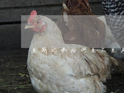 逾期记录检测是不是真的 逾期记录检测是不是真的
