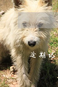 逾期记录次数怎么算 逾期记录次数怎么算