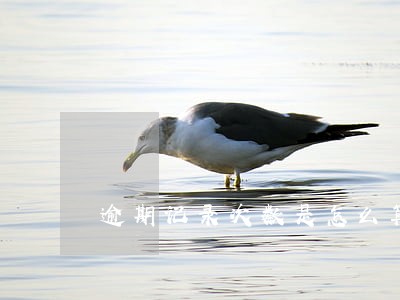逾期记录次数是怎么算的 逾期记录次数是怎么算的