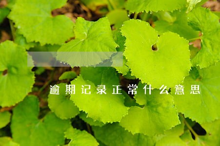 逾期记录正常什么意思 逾期记录正常什么意思