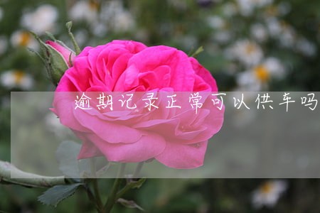 逾期记录正常可以供车吗 逾期记录正常可以供车吗