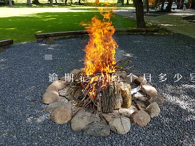 逾期记录每个月多少号上报 逾期记录每个月多少号上报