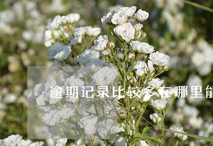 逾期记录比较多在哪里能借 逾期记录比较多在哪里能借