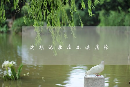 逾期记录没办法消除 逾期记录没办法消除