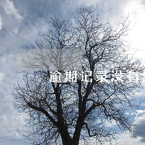 逾期记录没有超过90天 逾期记录没有超过90天